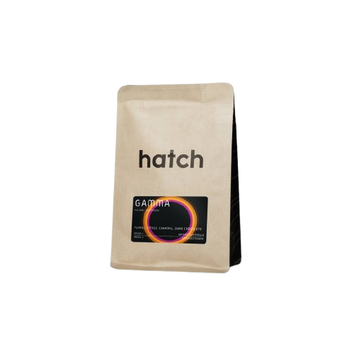 HATCH – gamma