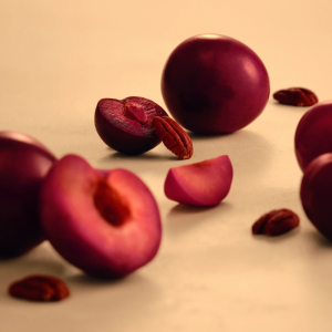 Pilot Coffee Roasters – Community Blend