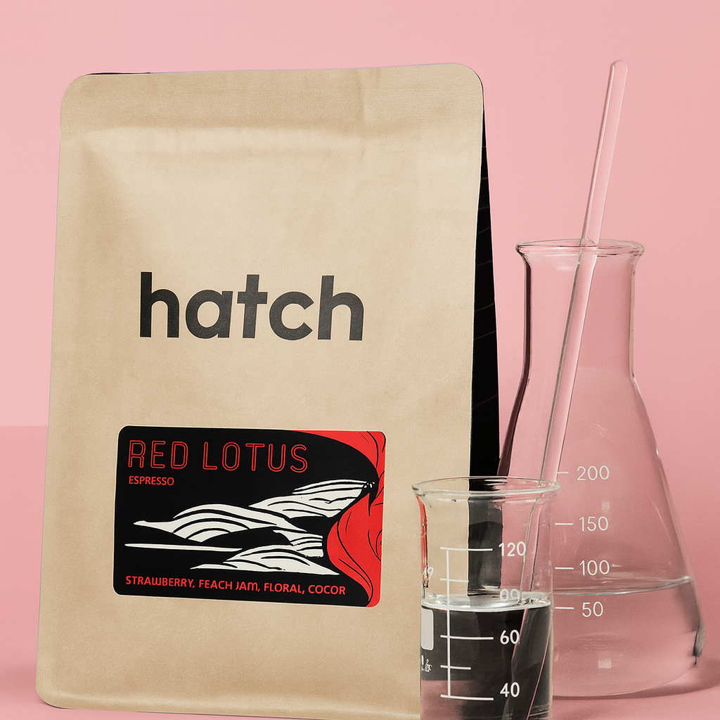Présentation de Hatch Coffee Roasters : précision, innovation et l’un des cafés les plus techniquement maîtrisés au Canada